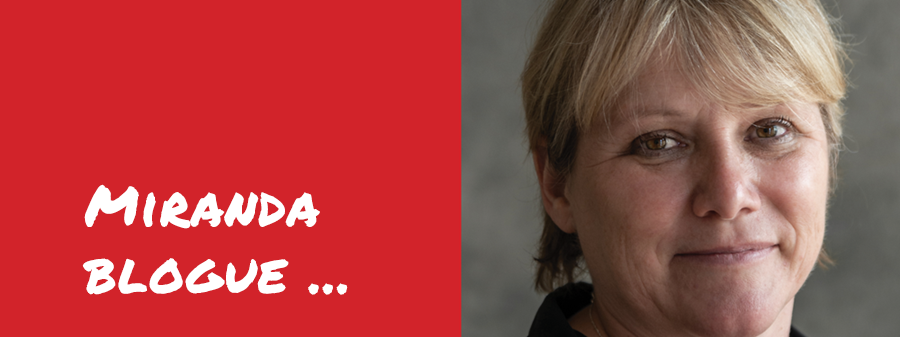 Convention 190 – nous y sommes presque, mais pas encore tout à fait - Miranda Ulens